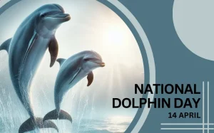 It’s National Dolphin Day
