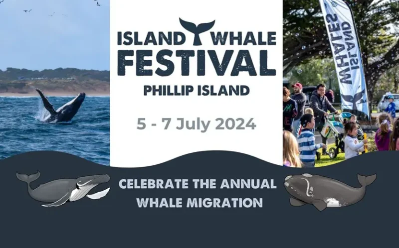 Island whale festival