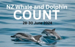 NZ Whale & Dolphin Count – 28 Jun to 30 Jun